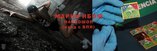ПСИЛОЦИБИНОВЫЕ ГРИБЫ Абаза