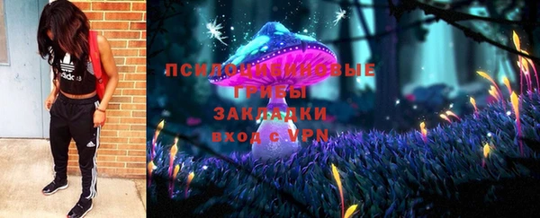 гашик Абинск