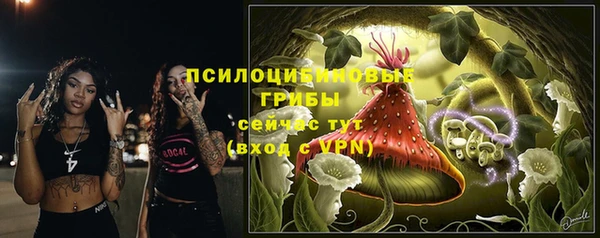гашик Абинск