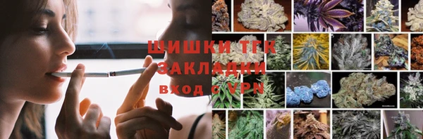 ПСИЛОЦИБИНОВЫЕ ГРИБЫ Абаза