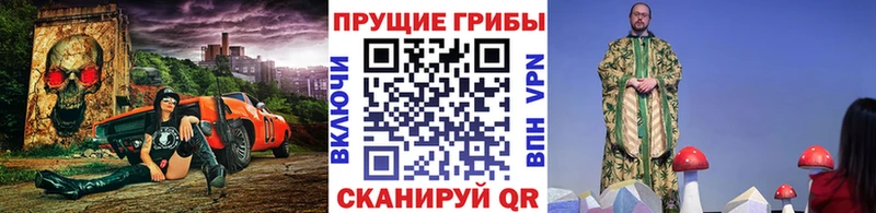 закладки  Тихорецк  Псилоцибиновые грибы MAGIC MUSHROOMS 